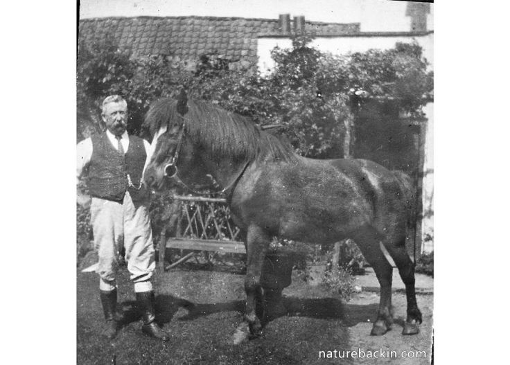 Great-Grandfather with horse