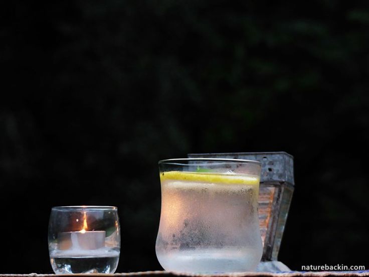 Sunset-sundowner-garden 2