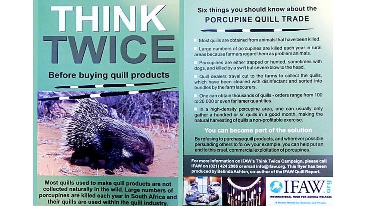 8 Cape porcupine IFAW poster quill trade