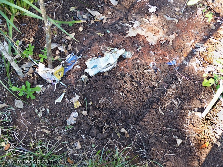 The soil beneath the layers of newspaper and cardboard in a new no-dig flowerbed
