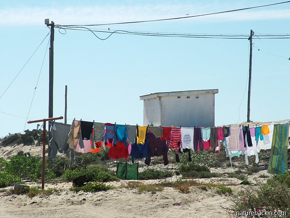 A small town in South Africa, Port Nolloth on the north-western coast.