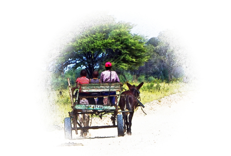 Donkey cart at Bray, North West Province, South Africa