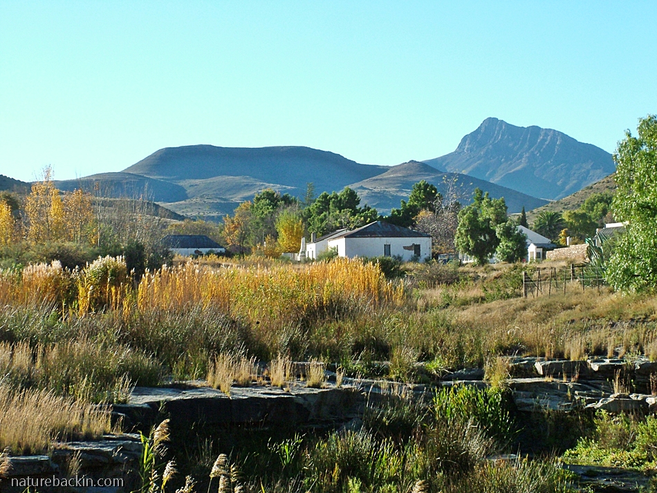 Small Karoo town of Nieu Bethesda with the Compassberg in the background