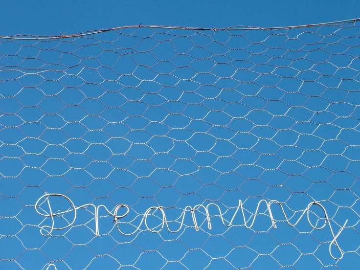 Cursive wire words on the fence at the Owl House, South Africa, spell Dreaming