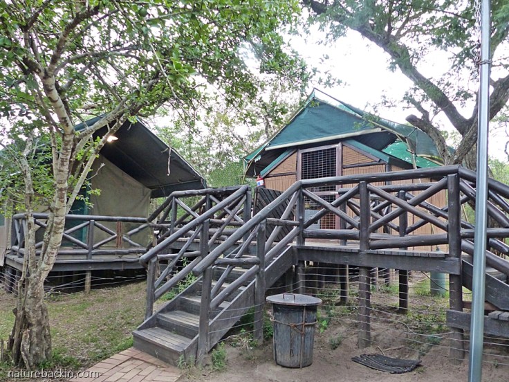 Safari tented camp at Mpila rest camp, iMfolozi Park