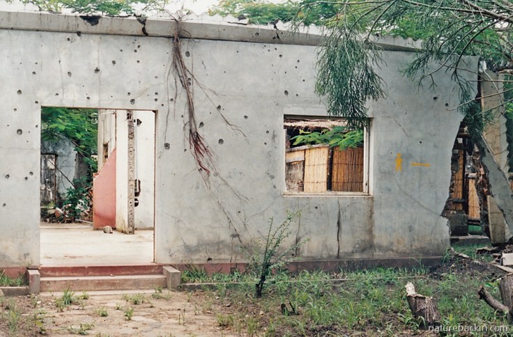 8 Mozambique-Gorongoza