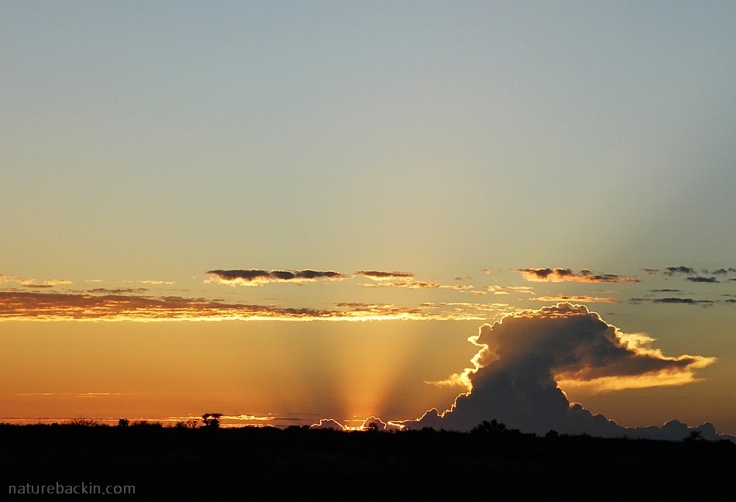Sunrise with building clouds, Central Kalahari Game Reserve, Botswana