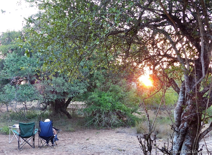 Watching the sunrise outside chalet at Mkhuze Game Reserve, South Africa