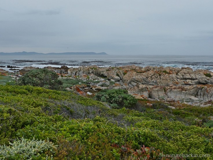 View from Onrus coastal path across Walker Bay