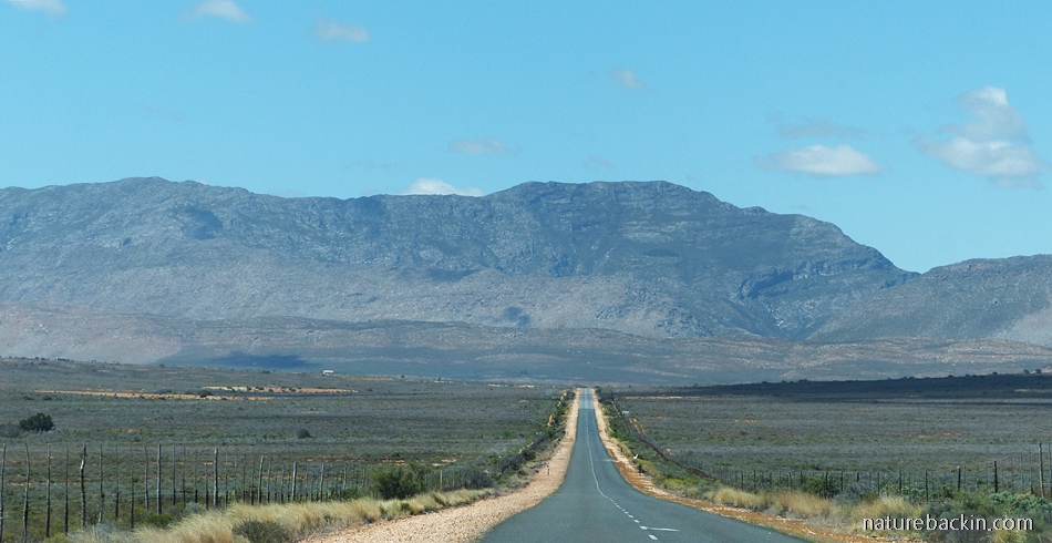 Road to Swartberg mountains