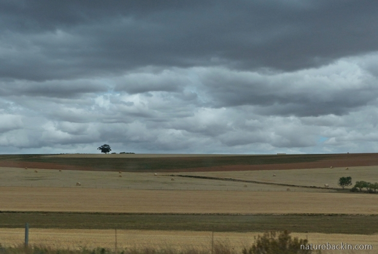 Farmlands Cape with rain clouds