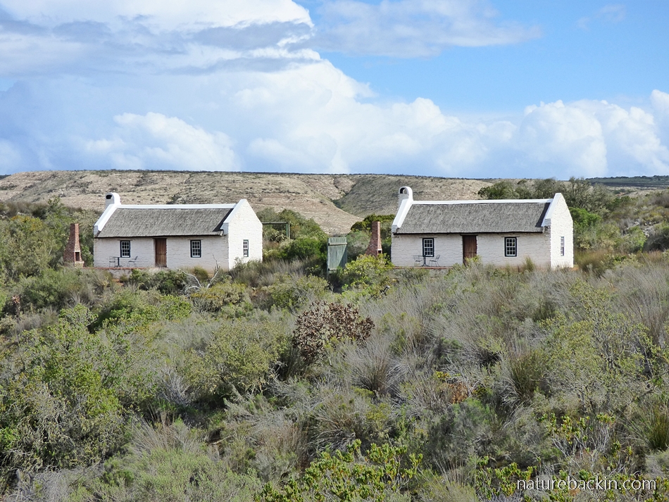 Accommodation at Wild Rescue Nature Reserve, Western Cape