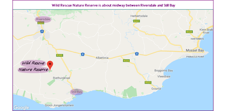 Map showing location of Wild Rescue Wildlife Rehabilitation and Nature Reserve, between Riversdale and Still Bay