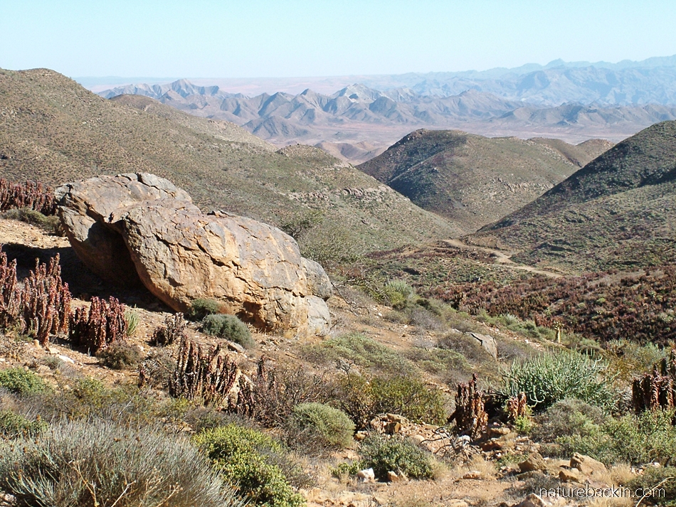 Tourist Destinations in the Northern Cape https://naturebackin.com/wp-content/uploads/2020/05/richtersveld-1.jpg?w=950&utm_source=chatgpt.com