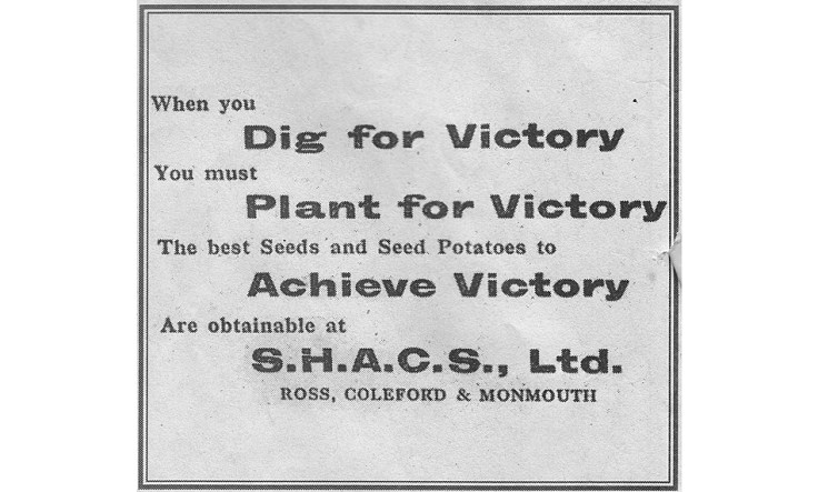 World War 2 advert promoting the Dig for Victory campaign