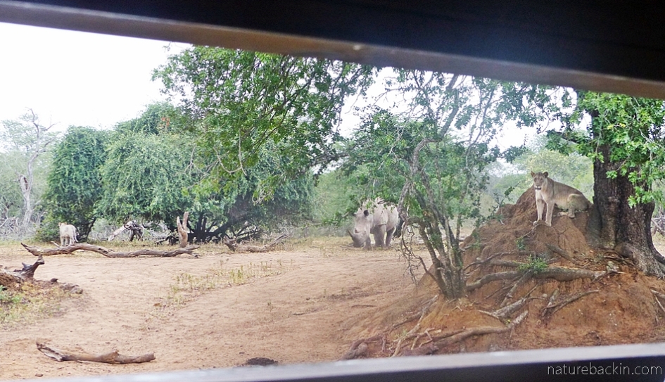 View from the hide at KuMasinga, Mkhuze Game Reserve