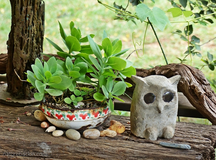 Concrete owl and potted plants