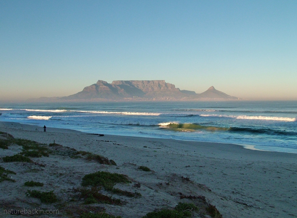 View of Table Mountain, Cape Town, from Blougbergstrand