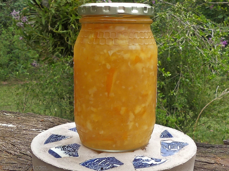 Homemade citrus marmalade