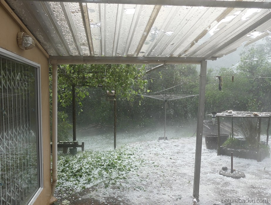 Hailstorm with damage to roofing