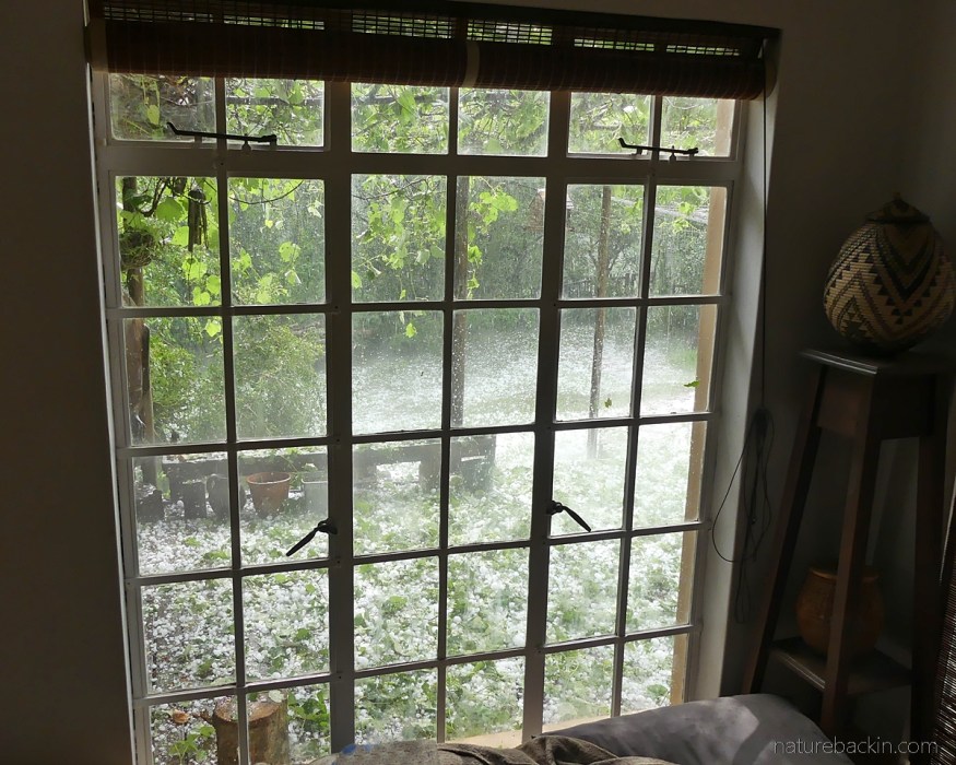 View of hail damage through window
