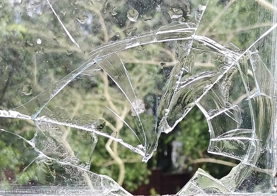 Broken window pane damaged by hail