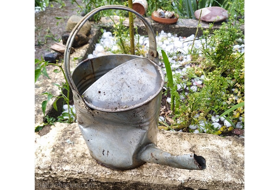 Watering can damaged by hail
