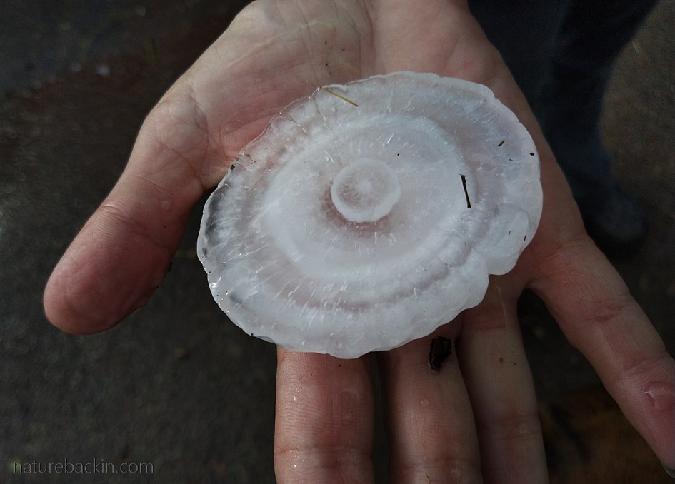 Layers in a hailstone