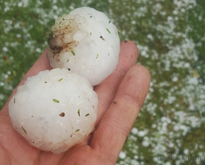 Hailstones larger than a golf ball