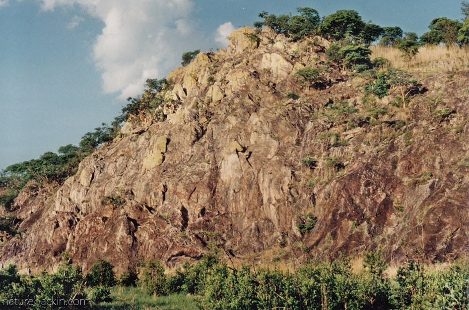 Rocky cliff, Savuti, Botswana