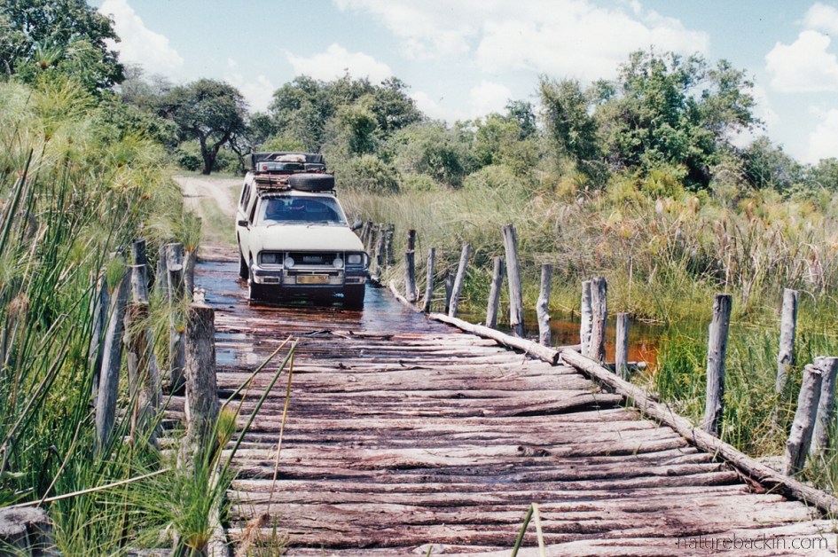 Crossing Third Bridge, Moremi Game Reserve, Botswana