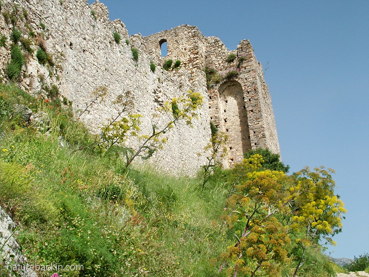 The Frankish castle at Mystras