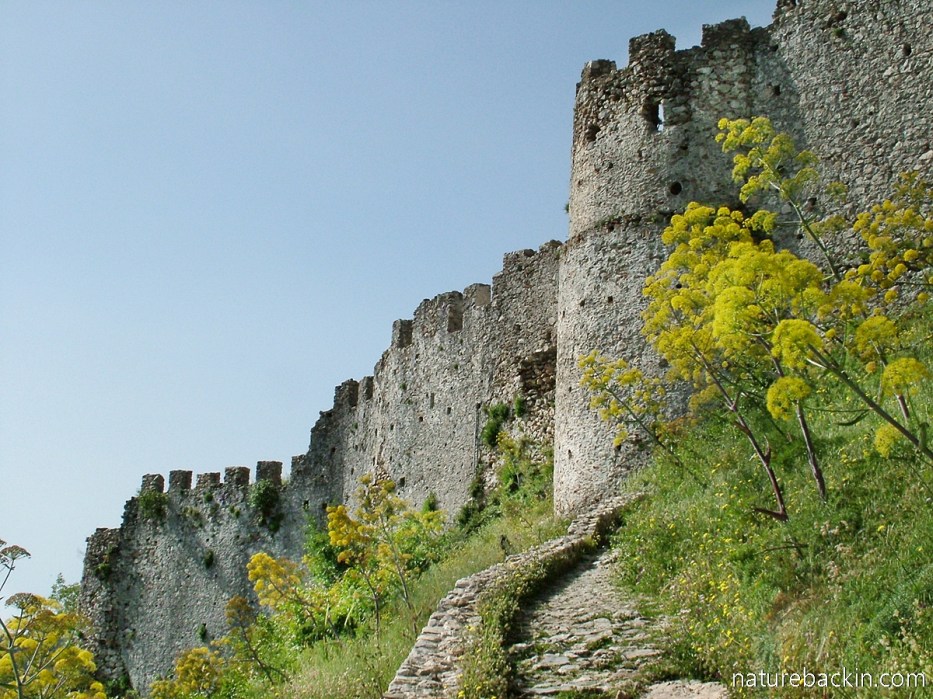 The Frankish castle at Mystras, Greece