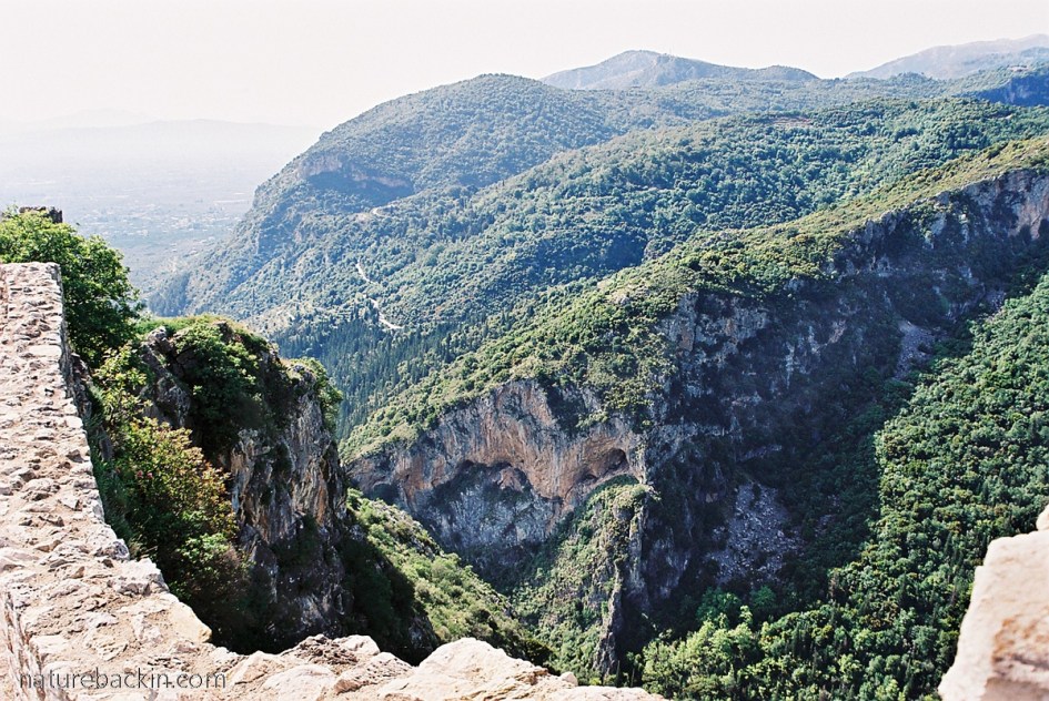 View of ravine protecting the Byzantine site of Mystras