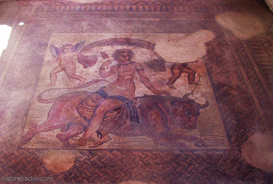 Roman mosaic of Europa and the bull, in Sparti