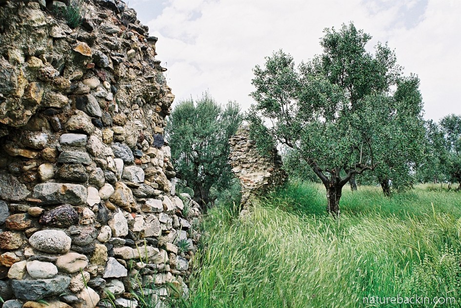 Exposed stone in the ruined walls of former buildings at the old Acropolis, Sparti