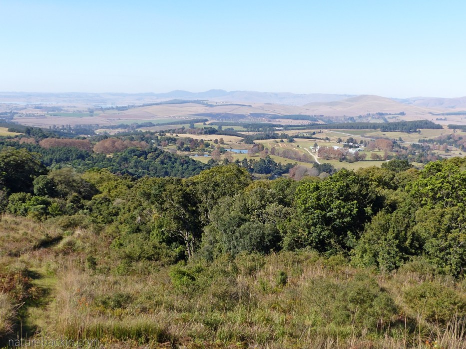 View of KwaZulu-Natal Midlands