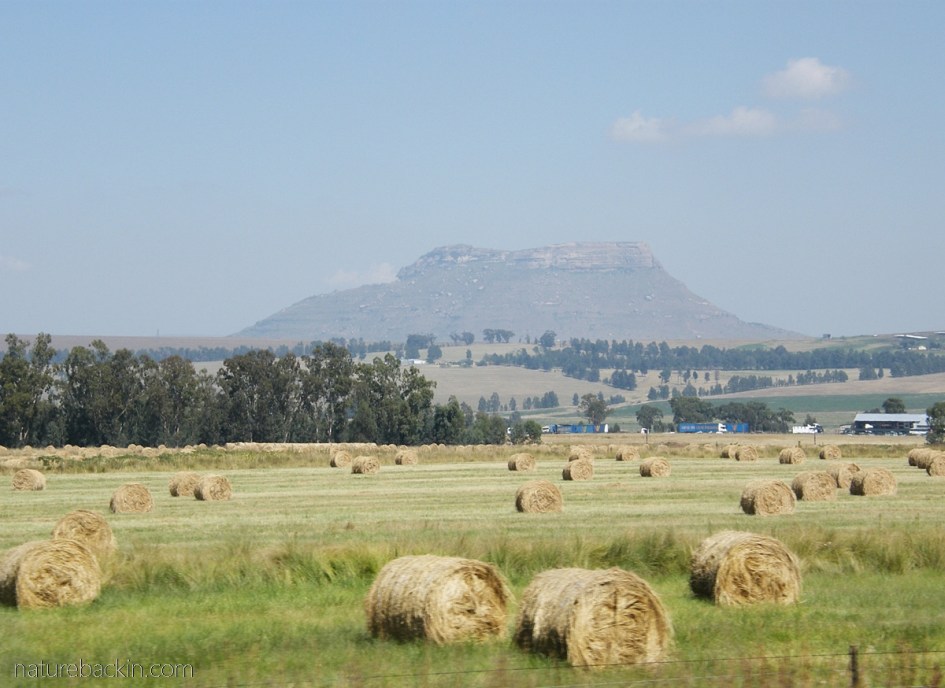 Farmlands, KwaZulu-Natal