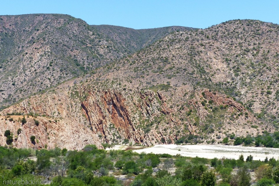 Slow flow of water in the Kouga River not far above the Kouga Dam, Eastern Cape