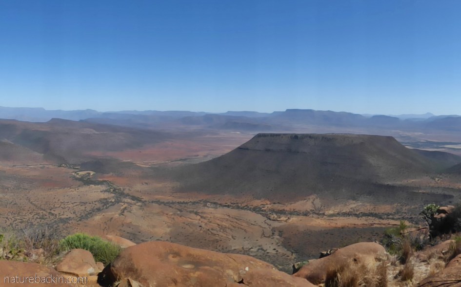 Arid conditions near Graaff Reinet, Eastern Cape