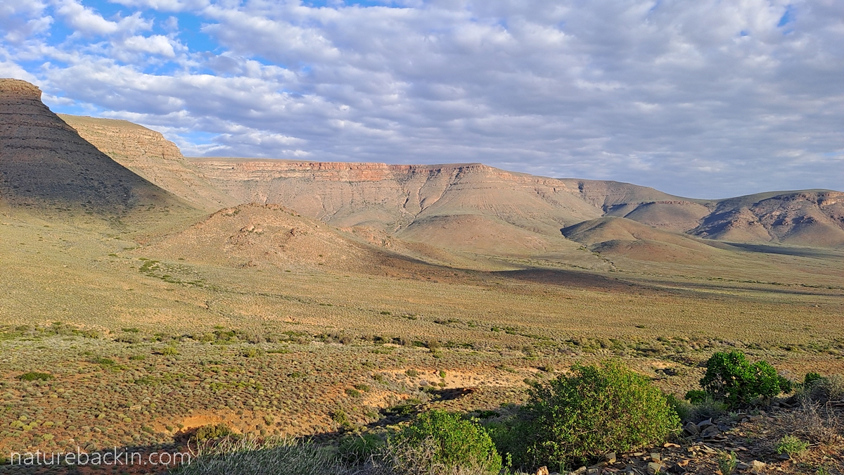 Tankwa Karoo view of Roggeveld mountains