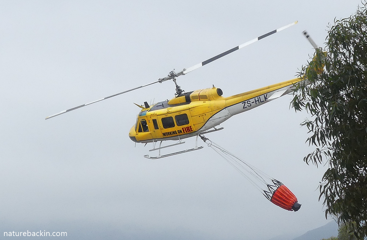Working on FIre Huey helicopter, about to collect water while firefighting in the Overstrand, Western Cape, South Africa