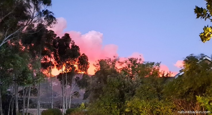 Smoke from a wildfire over the Klein Rivier Mountain, seen from Stanford, Overstrand, December 2025