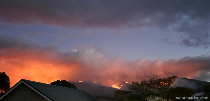 Wildfire coming over the Klein Rivier Mountains towards Stanford, Overstrand, December 2025