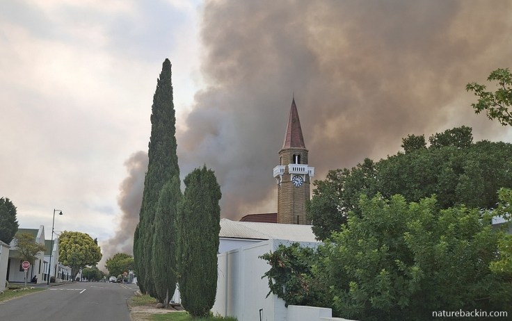 Smoke from nearby fire, Stanford, Overstrand, Western Cape, January 2026