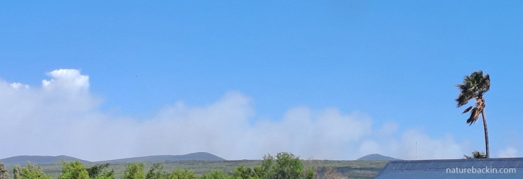 Smoke on the horizon from Gansbaai Mountain fire seen from Stanford, Overstrand, October 2025