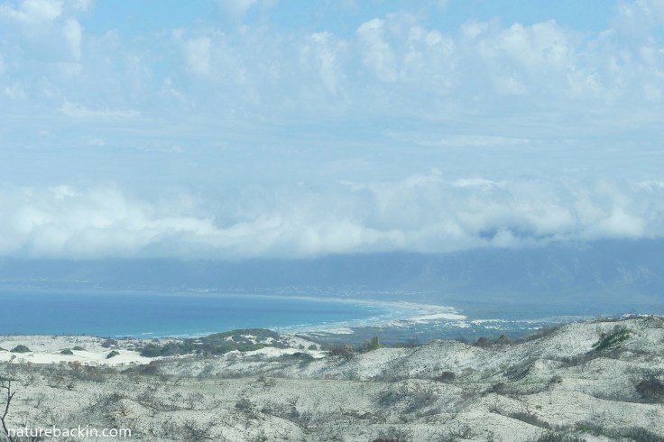 Dunes at Walker Bay, Western Cape
